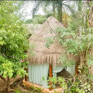 Oma - Holistic Healing Center , Cancún Mexico